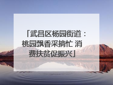 武昌区杨园街道：桃园飘香采摘忙 消费扶贫促振兴