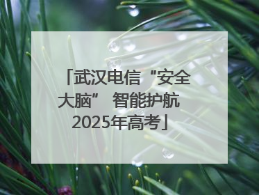 武汉电信“安全大脑” 智能护航2025年高考