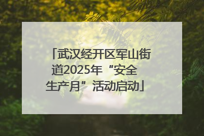 武汉经开区军山街道2025年“安全生产月”活动启动