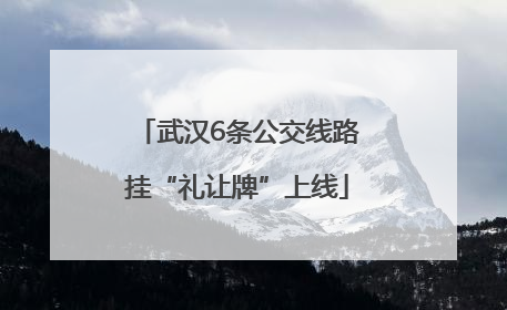 武汉6条公交线路挂“礼让牌”上线