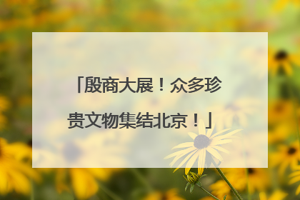 殷商大展！众多珍贵文物集结北京！