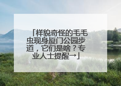 样貌奇怪的毛毛虫现身厦门公园步道，它们是啥？专业人士提醒→