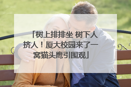 树上排排坐 树下人挤人！厦大校园来了一窝猫头鹰引围观