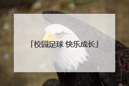 校园足球 快乐成长