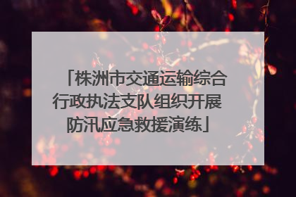 株洲市交通运输综合行政执法支队组织开展防汛应急救援演练