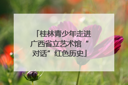 桂林青少年走进广西省立艺术馆“对话”红色历史
