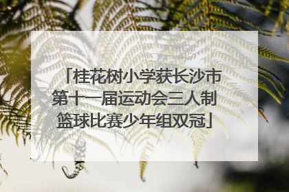 桂花树小学获长沙市第十一届运动会三人制篮球比赛少年组双冠