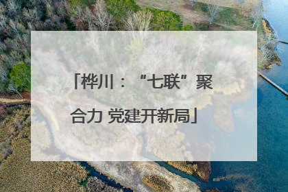桦川：“七联”聚合力 党建开新局