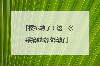樱桃熟了！这三条采摘线路收藏好