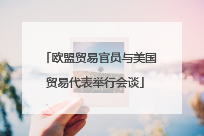 欧盟贸易官员与美国贸易代表举行会谈