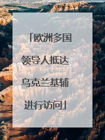欧洲多国领导人抵达乌克兰基辅进行访问