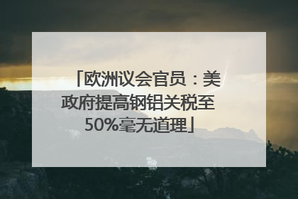 欧洲议会官员：美政府提高钢铝关税至50%毫无道理