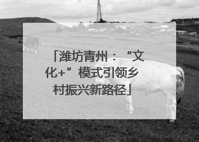 潍坊青州：“文化+”模式引领乡村振兴新路径