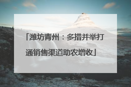 潍坊青州：多措并举打通销售渠道助农增收
