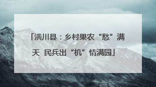 潢川县：乡村果农“愁”满天  民兵出“机”情满园
