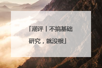 潮评丨不搞基础研究，就没根