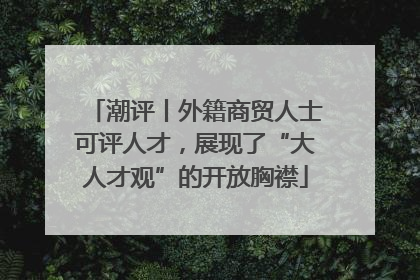 潮评丨外籍商贸人士可评人才，展现了“大人才观”的开放胸襟