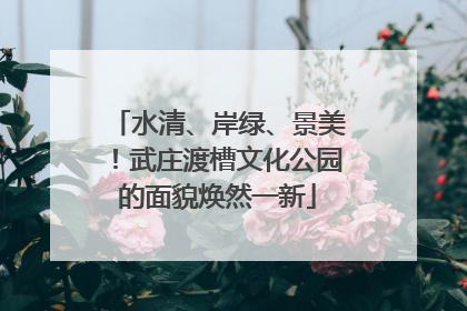水清、岸绿、景美！武庄渡槽文化公园的面貌焕然一新