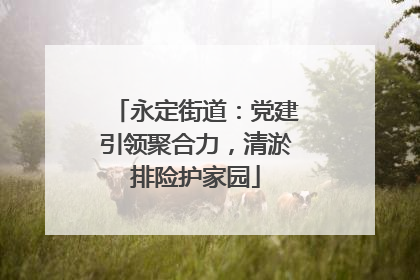 永定街道：党建引领聚合力，清淤排险护家园