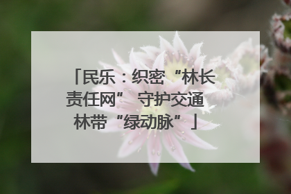 民乐：织密“林长责任网” 守护交通林带“绿动脉”