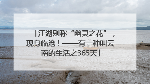 江湖别称“幽灵之花”，现身临沧！——有一种叫云南的生活之365天