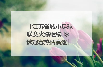 江苏省城市足球联赛火爆继续 球迷观赛热情高涨