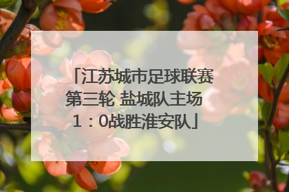 江苏城市足球联赛第三轮 盐城队主场1：0战胜淮安队