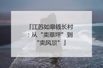 江苏如皋钱长村：从“卖草坪”到“卖风景”