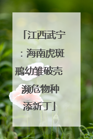 江西武宁：海南虎斑鳽幼雏破壳 濒危物种添新丁