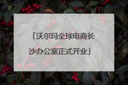 沃尔玛全球电商长沙办公室正式开业