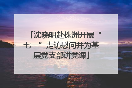 沈晓明赴株洲开展“七一”走访慰问并为基层党支部讲党课