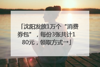 沈阳发放1万个“消费券包”，每份3张共计180元，领取方式→