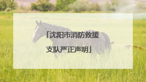 沈阳市消防救援支队严正声明