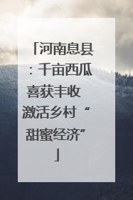 河南息县：千亩西瓜喜获丰收 激活乡村“甜蜜经济”