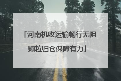 河南机收运输畅行无阻 颗粒归仓保障有力