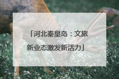 河北秦皇岛：文旅新业态激发新活力