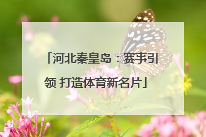 河北秦皇岛：赛事引领 打造体育新名片