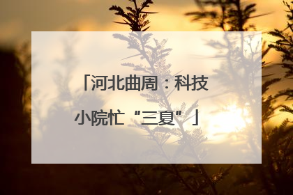 河北曲周：科技小院忙“三夏”
