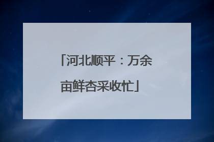 河北顺平：万余亩鲜杏采收忙
