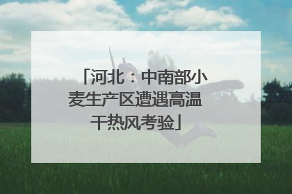 河北：中南部小麦生产区遭遇高温干热风考验