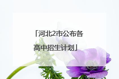 河北2市公布各高中招生计划
