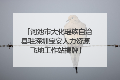 河池市大化瑶族自治县驻深圳宝安人力资源飞地工作站揭牌