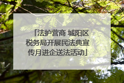 法护营商 城阳区税务局开展民法典宣传月进企送法活动