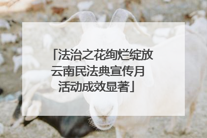 法治之花绚烂绽放 云南民法典宣传月活动成效显著