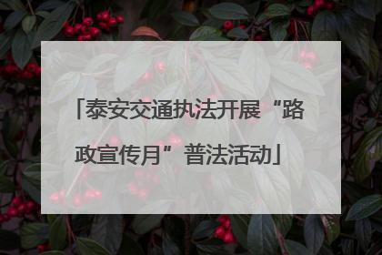 泰安交通执法开展“路政宣传月”普法活动
