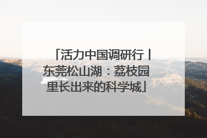 活力中国调研行丨东莞松山湖：荔枝园里长出来的科学城