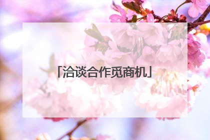 洽谈合作觅商机