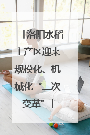 洛阳水稻主产区迎来规模化、机械化“二次变革”