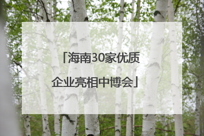 海南30家优质企业亮相中博会