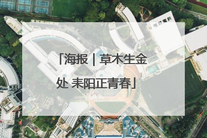 海报｜草木生金处 耒阳正青春